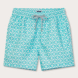 Men's Dolphin Delirium Staniel Swim Shorts