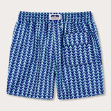 Men's Whale Tale Staniel Swim Shorts