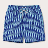 Men's Whale Tale Staniel Swim Shorts